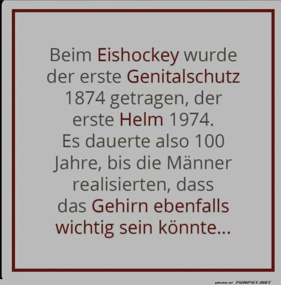 Beim Eishockey