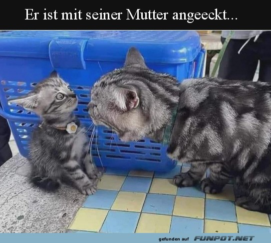 rger mit Mutti