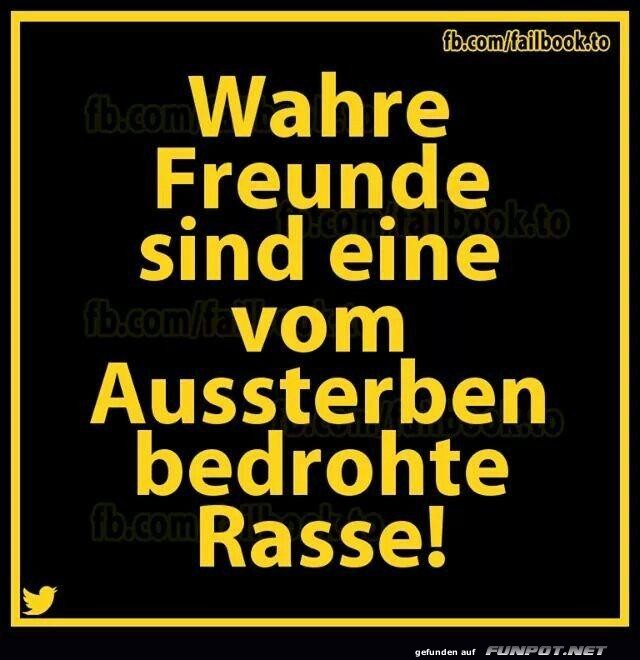 Wahre Freunde