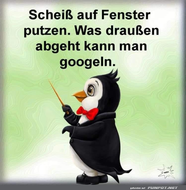 Fenster putzen