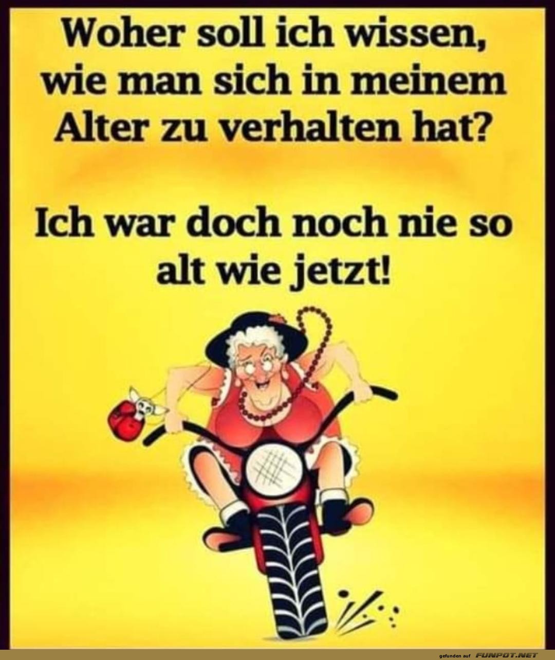 Noch nie