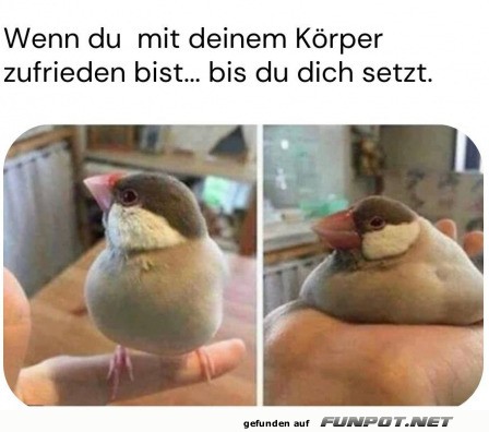 Bis du dich setzt