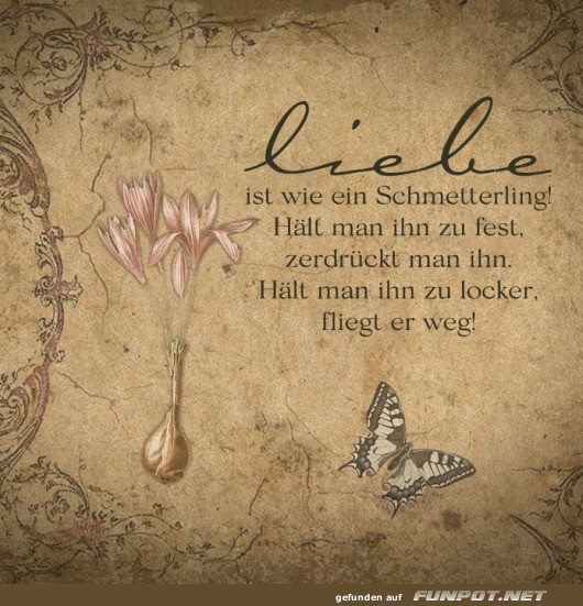 Liebe ist wie ein Schmetterling