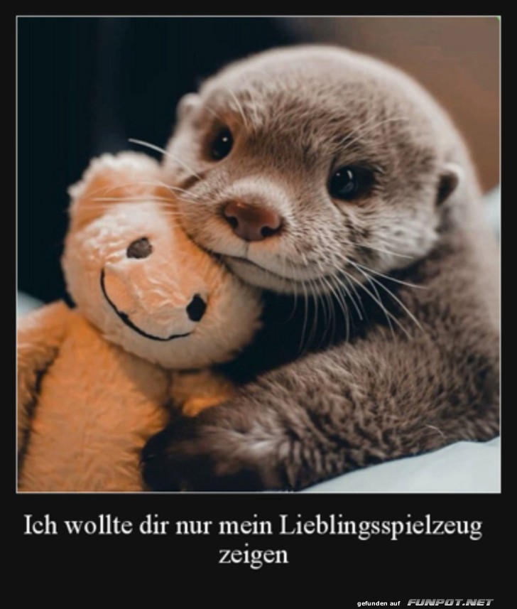 Wie lieb