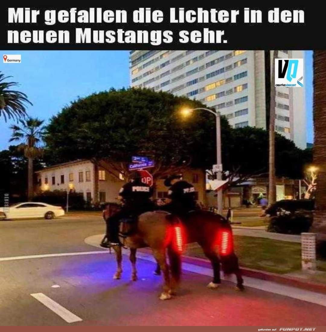 Neue Lichter