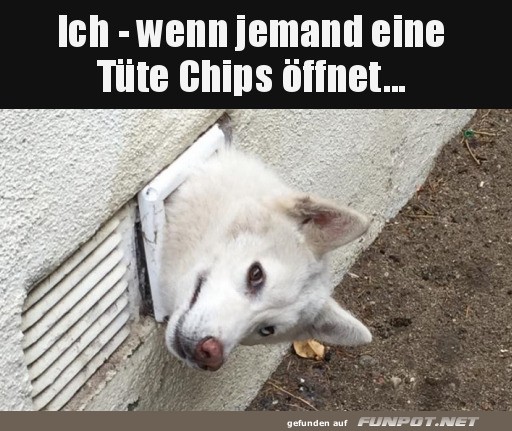 Habe ich eine Chipstte gehrt?