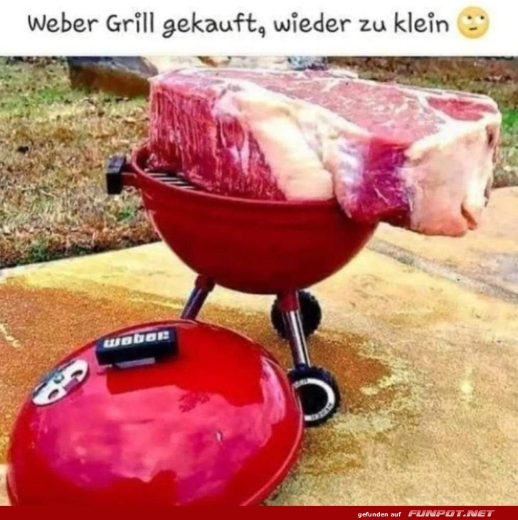 Grill zu klein