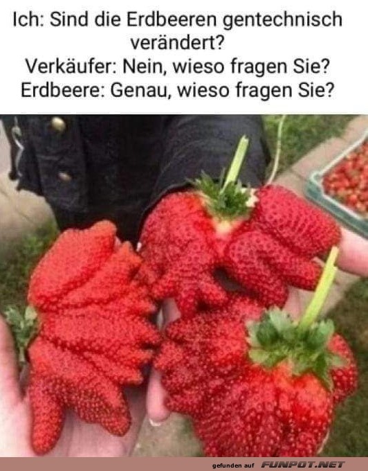 Komische Erdbeeren