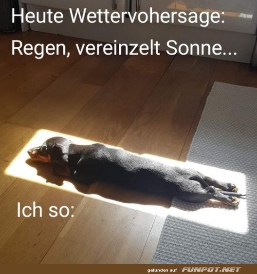 Vereinzelt Sonne