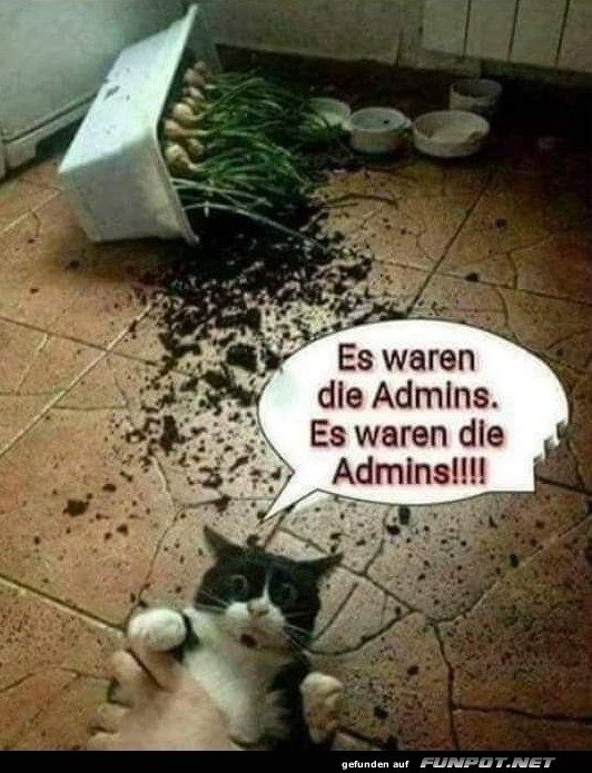 Es waren die Admins