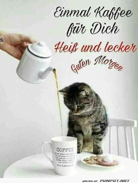 Guten Morgen