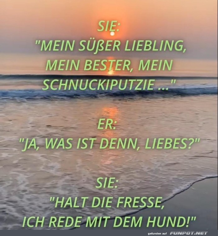 Mein ser Liebling