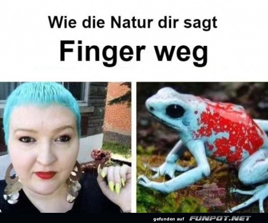 Wie es die Natur dir sagt