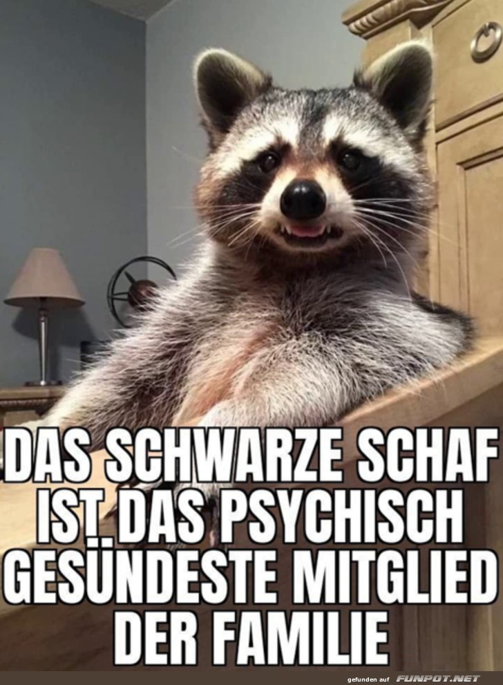 Das schwarze Schaf