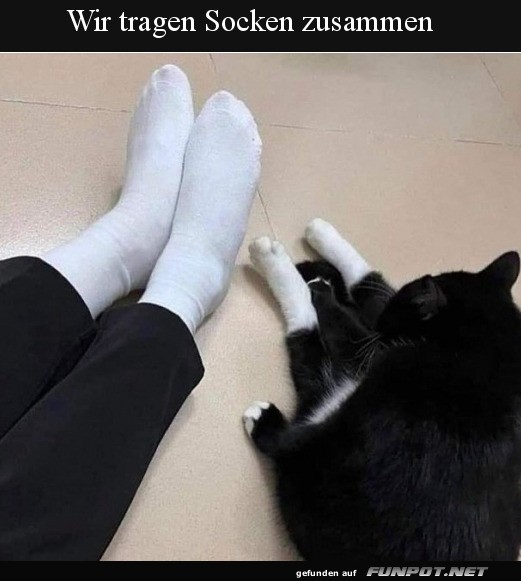 Gleiche Socken