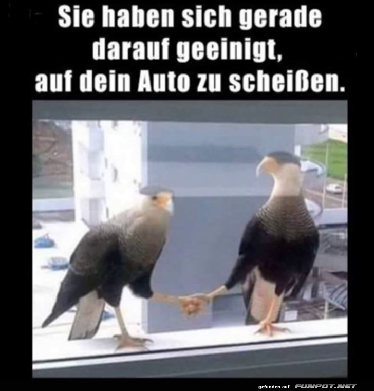 witzige Bilder aus verschiedenen Blogs