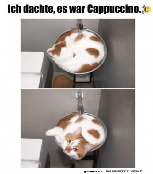 Kein Cappuccino
