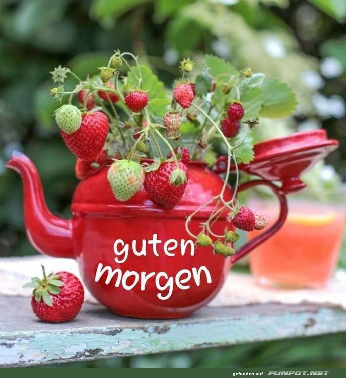 Guten Morgen