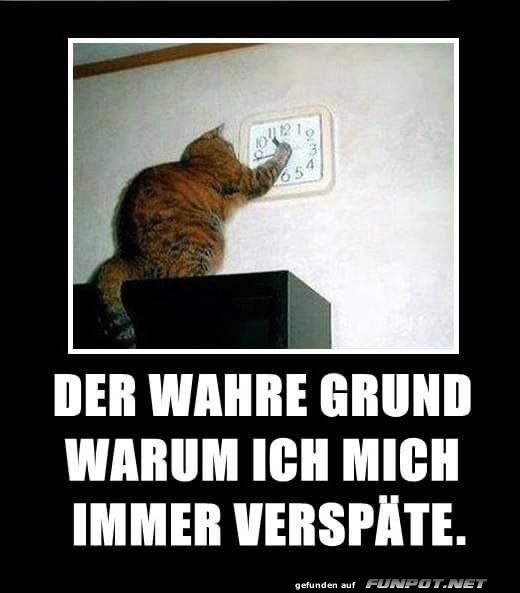 Der wahre Grund