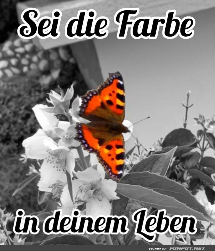 Sei die Farbe