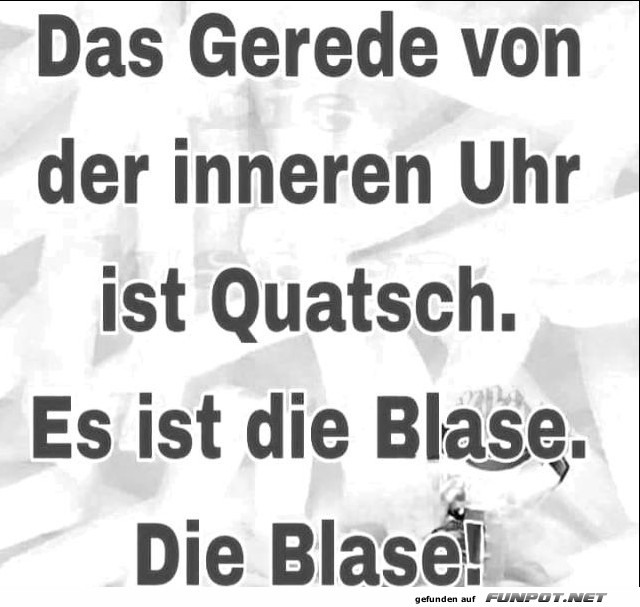 Die Blase