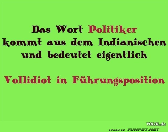 Politiker