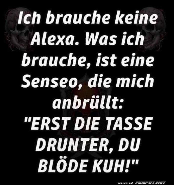 Ich brauche keine Alexa