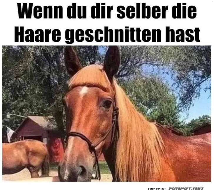 Haare selber geschnitten