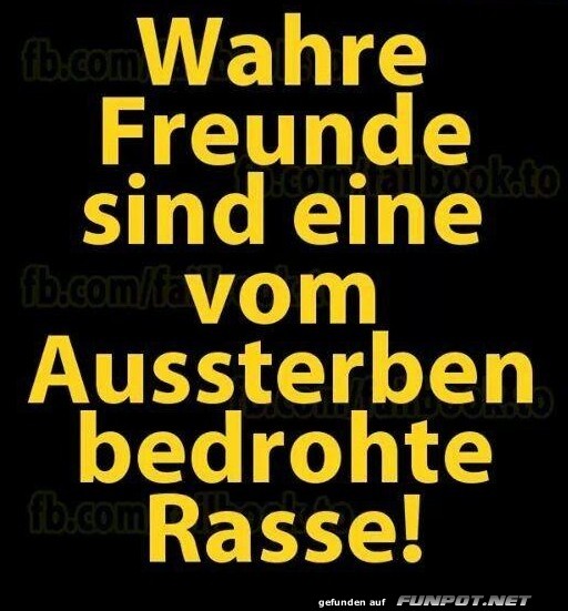 Wahre Freunde