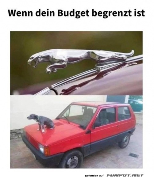 Begrenztes Budget