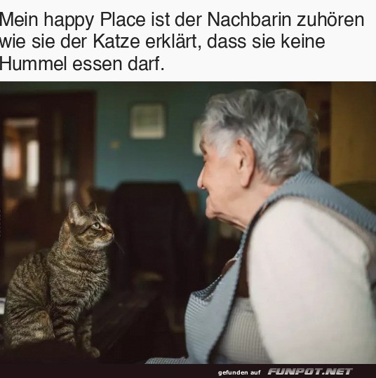 Mit der Katze sprechen