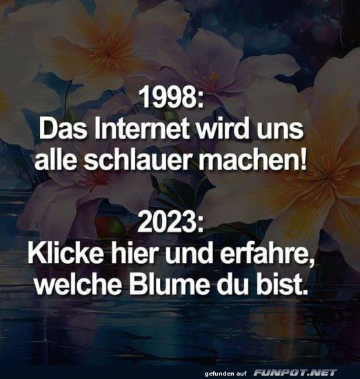 Das Internet macht uns schlauer