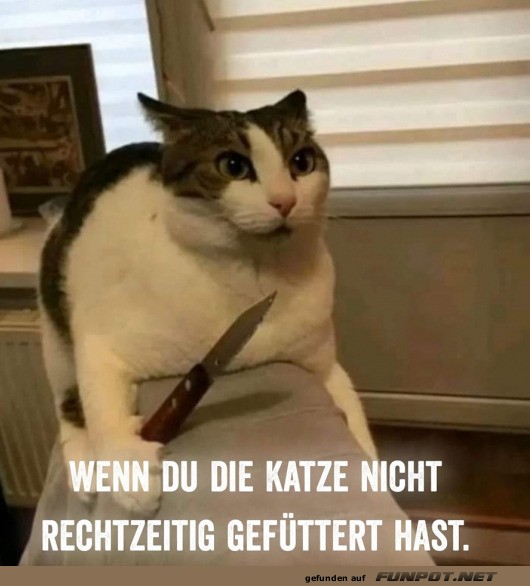 Nicht rechtzeitig gefttert