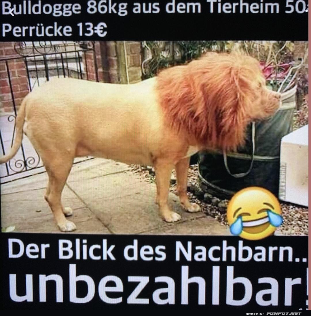 unbezahlbar
