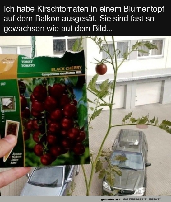 Kommt fast hin