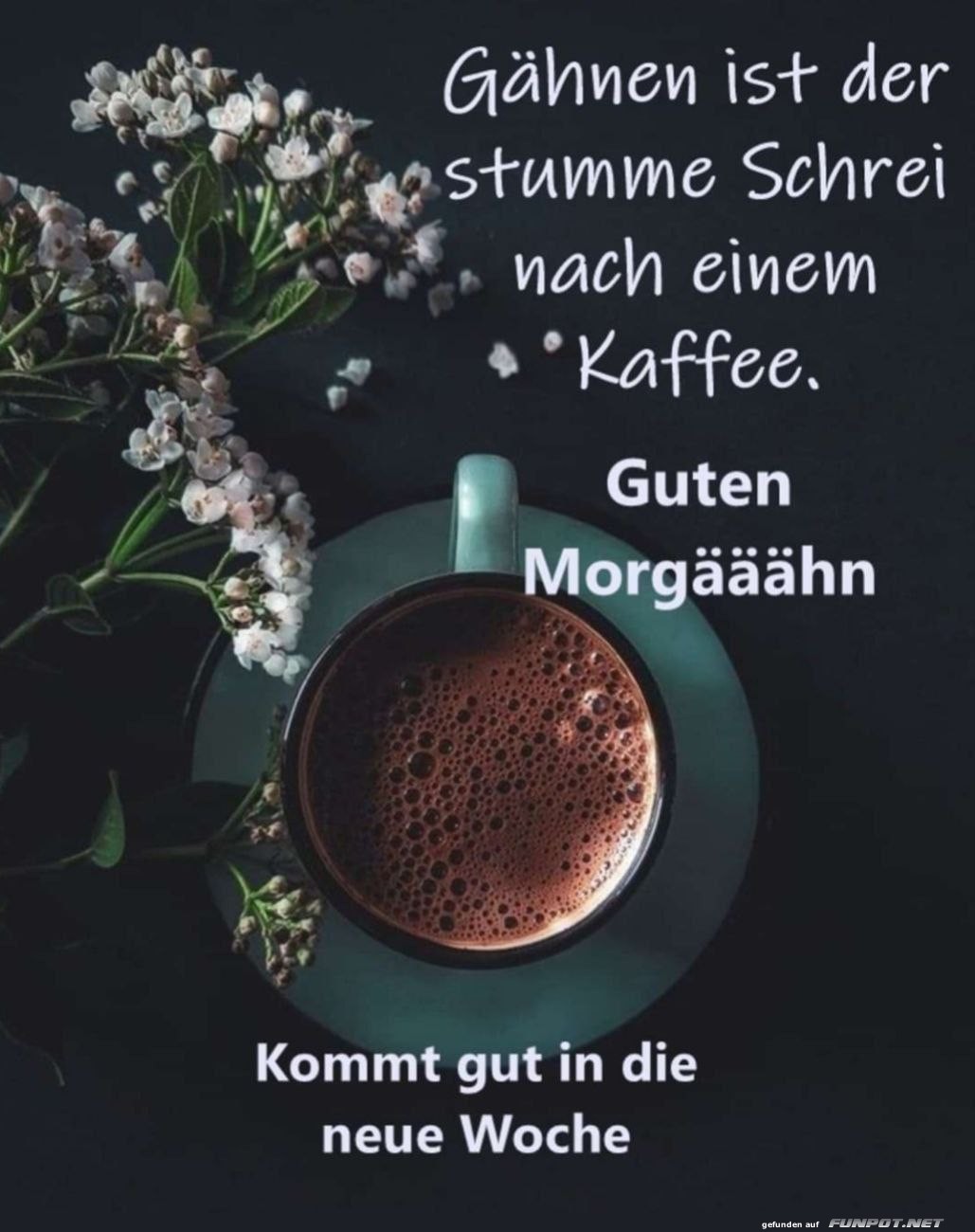 Guten Morgen