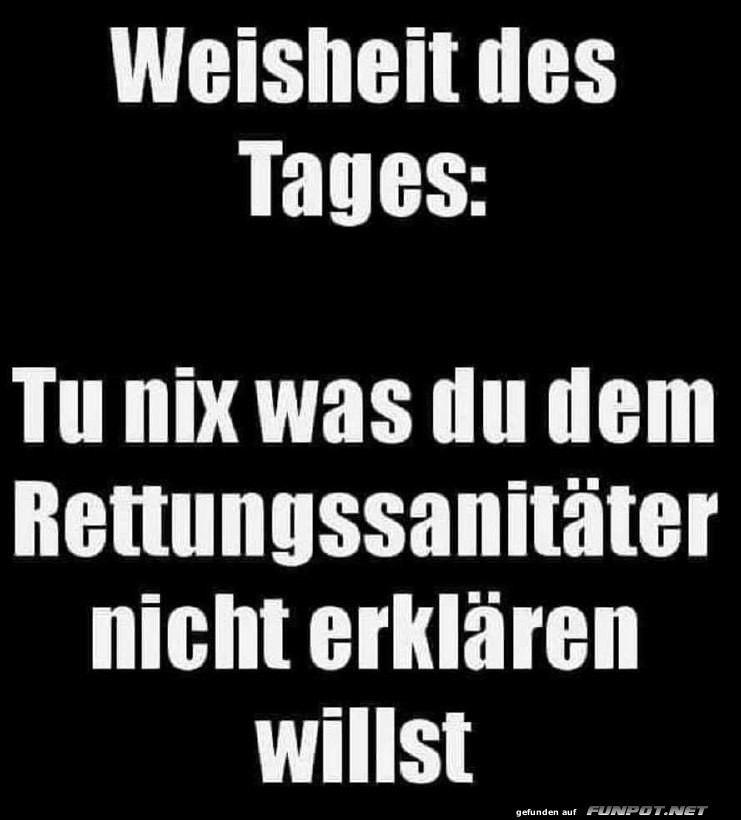 Weisheit des Tages