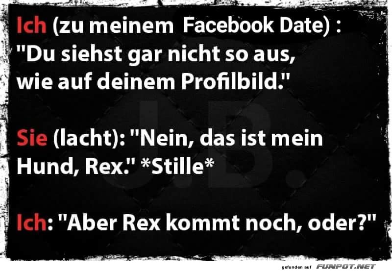 Aber Rex kommt noch,oder?