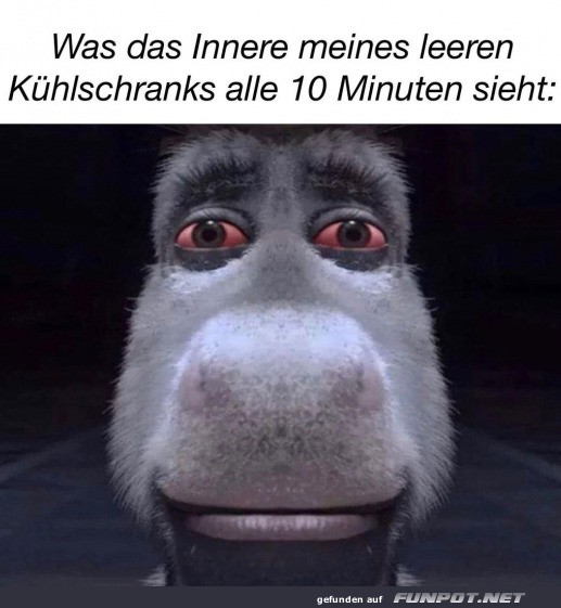 Ich vor dem Khlschrank