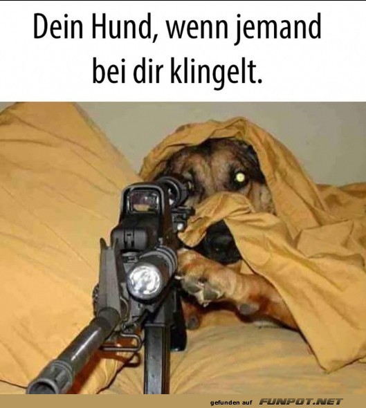 dein Hund ist wachsam!