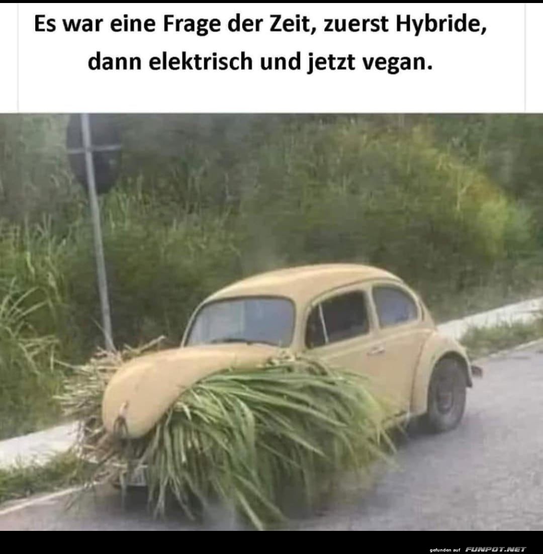 Eine Frage der Zeit