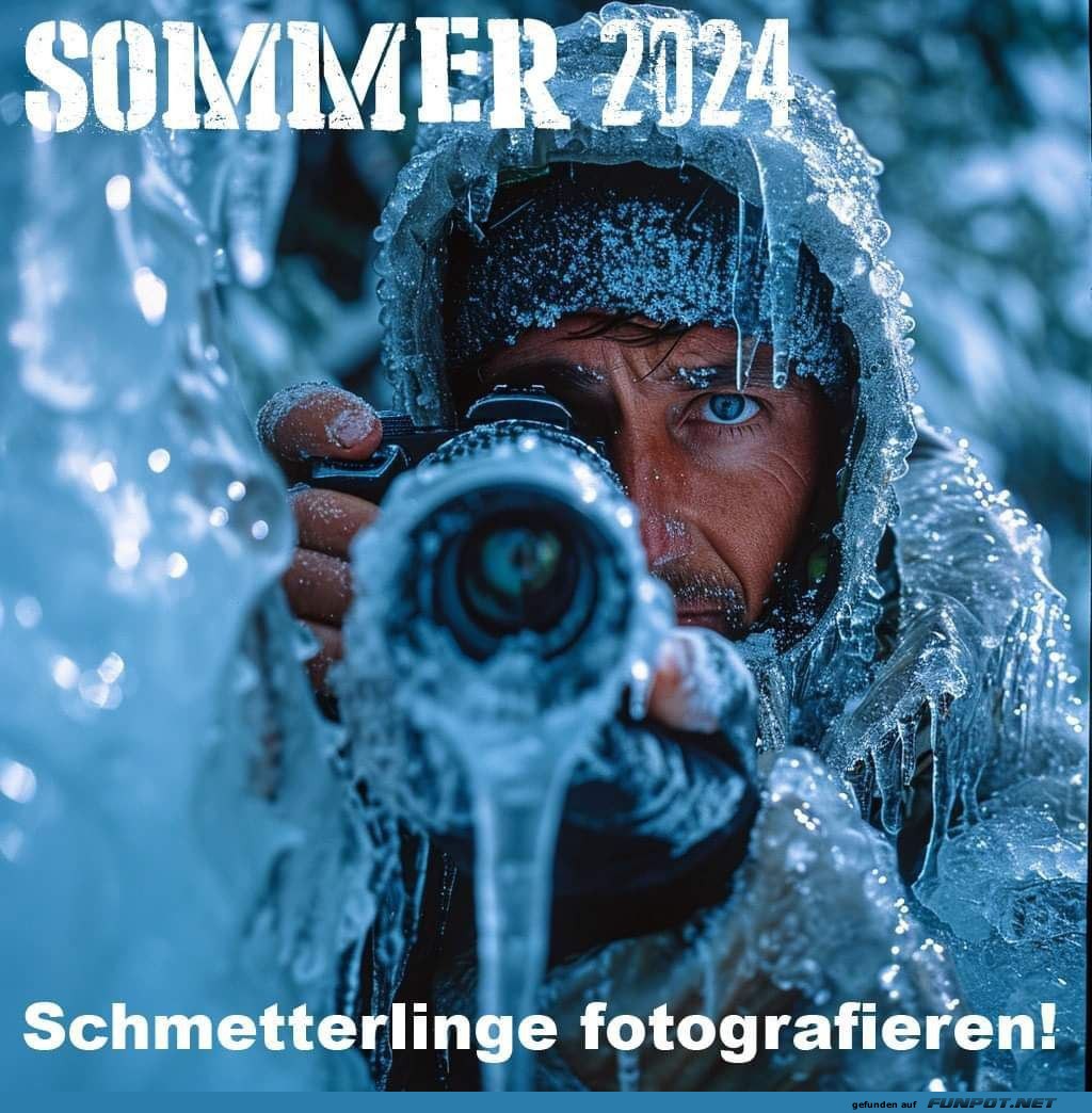 Sommer 2024