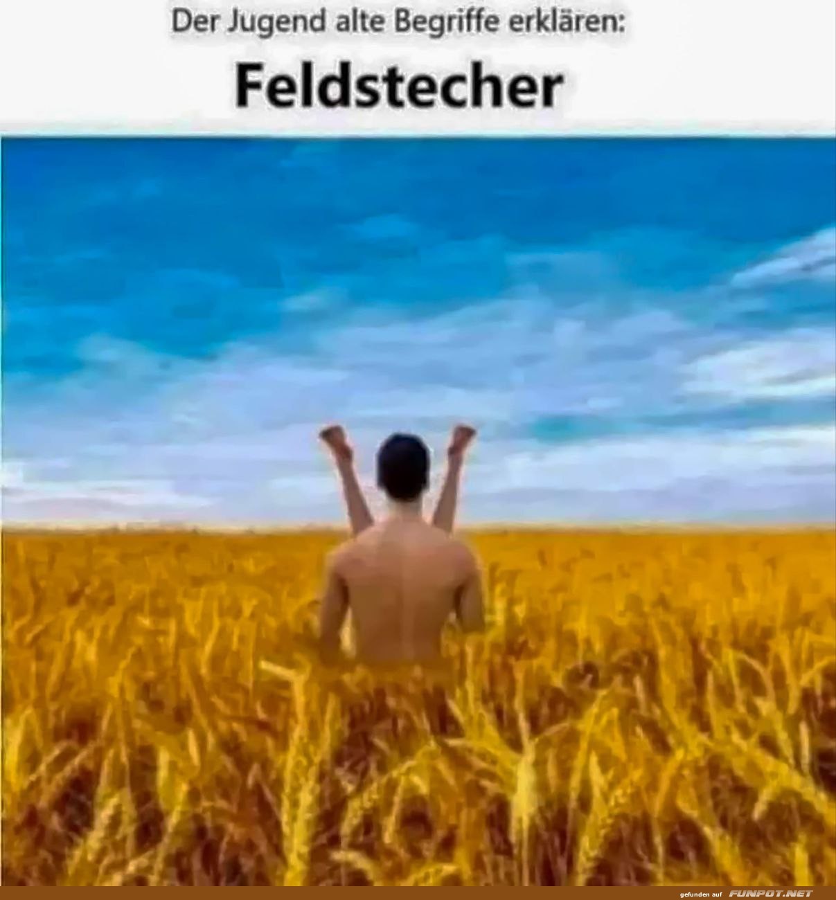 Feldstecher