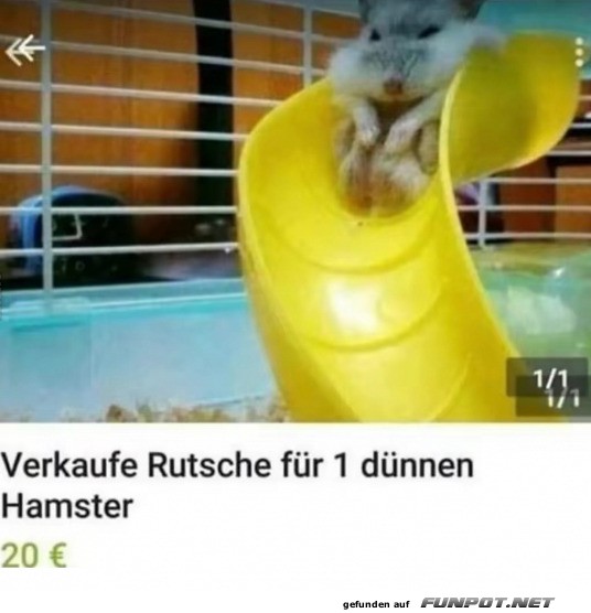 Rutsche fr dnnen Hamster