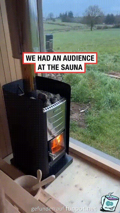 Sauna-Gucker