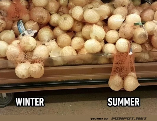 Unterschied Sommer und Winter