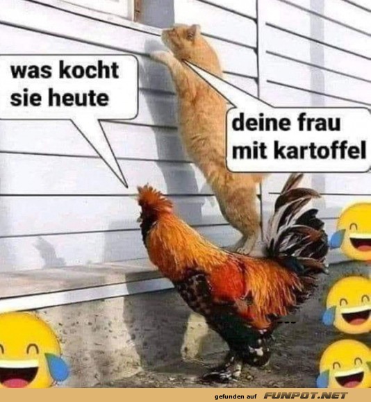 Was kocht sie heute?