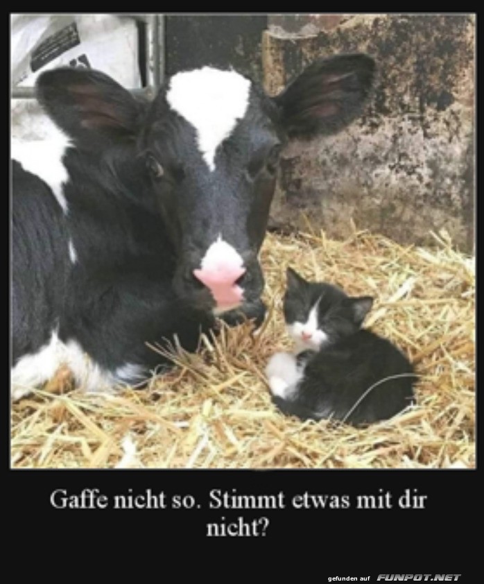 Stimmt was nicht?