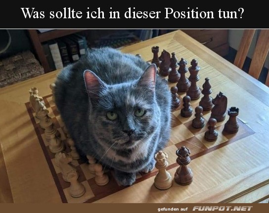 Schluss mit dem Spiel