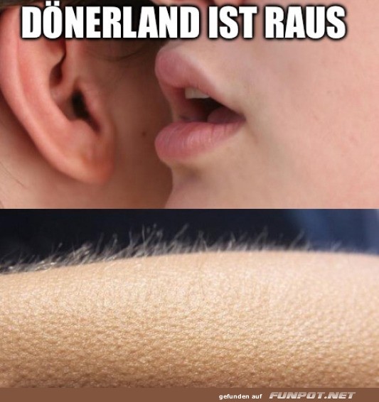 Gänsehaut Gänsehaut